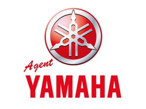 Résultat de recherche d'images pour "petit logo yamaha"